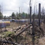 08.04.2021. Sitkówka-Nowiny. Nielegalne wysypisko / Paulina Michta / Radio Kielce