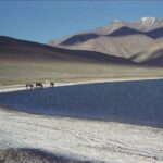 Indie / Magdalena Szczoczarz