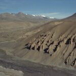 Indie / Magdalena Szczoczarz