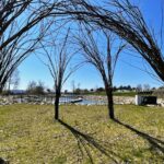 28.04.2021 Kielce. Ogród Botaniczny / Jarosław Kubalski / Radio Kielce