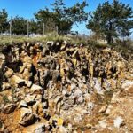 28.04.2021 Kielce. Ogród Botaniczny / Jarosław Kubalski / Radio Kielce