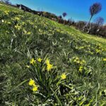 28.04.2021 Kielce. Ogród Botaniczny / Jarosław Kubalski / Radio Kielce