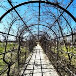 28.04.2021 Kielce. Ogród Botaniczny / Jarosław Kubalski / Radio Kielce