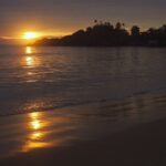 Indie / Magdalena Szczoczarz