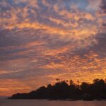 Indie / Magdalena Szczoczarz