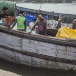 Indie / Magdalena Szczoczarz