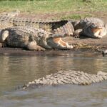 Etiopia / Andrzej Zarzecki