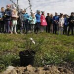 29.04.2021. Kielce. Akcja „Zielony Rekord” / Jarosław Kubalski / Radio Kielce