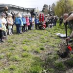 29.04.2021. Kielce. Akcja „Zielony Rekord” / Jarosław Kubalski / Radio Kielce