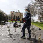 29.04.2021. Kielce. Piłkarze Łomży Vive Kielce i zieleń miejska sadzili krzewy w parku na Czarnowie / Jarosław Kubalski / Radio Kielce