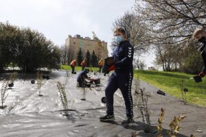 29.04.2021. Kielce. Piłkarze Łomży Vive Kielce i zieleń miejska sadzili krzewy w parku na Czarnowie / Jarosław Kubalski / Radio Kielce