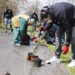 29.04.2021. Kielce. Piłkarze Łomży Vive Kielce i zieleń miejska sadzili krzewy w parku na Czarnowie / Jarosław Kubalski / Radio Kielce