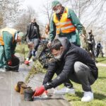 29.04.2021. Kielce. Piłkarze Łomży Vive Kielce i zieleń miejska sadzili krzewy w parku na Czarnowie / Jarosław Kubalski / Radio Kielce