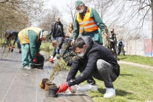 29.04.2021. Kielce. Piłkarze Łomży Vive Kielce i zieleń miejska sadzili krzewy w parku na Czarnowie / Jarosław Kubalski / Radio Kielce