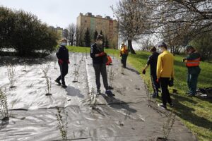 29.04.2021. Kielce. Piłkarze Łomży Vive Kielce i zieleń miejska sadzili krzewy w parku na Czarnowie / Jarosław Kubalski / Radio Kielce