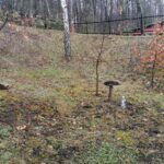 13.03.2021. Pińczów. Obchody 81. rocznicy zbrodni katyńskiej. „Zawięzienie”, czyli pińczowskie miejsce straceń z czasu II wojny światowej / Marta Gajda / Radio Kielce