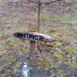 13.03.2021. Pińczów. Obchody 81. rocznicy zbrodni katyńskiej. „Zawięzienie”, czyli pińczowskie miejsce straceń z czasu II wojny światowej / Marta Gajda / Radio Kielce