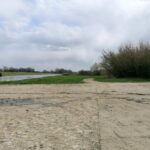 26.04.2021. Opatowiec. Tereny nadwiślańskie / Marta Gajda