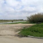 26.04.2021. Opatowiec. Tereny nadwiślańskie / Marta Gajda