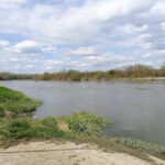 26.04.2021. Opatowiec. Tereny nadwiślańskie / Marta Gajda