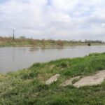 26.04.2021. Opatowiec. Tereny nadwiślańskie / Marta Gajda