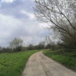 26.04.2021. Opatowiec. Tereny nadwiślańskie / Marta Gajda