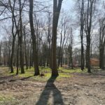 27.04.2021. Busko-Zdrój. Park zdrojowy / Marta Gajda / Radio Kielce