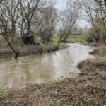 17.04.2021. Koprzywnica. Akcja „Operacja Koprzywianka” / Grażyna Szlęzak-Wójcik / Radio Kielce