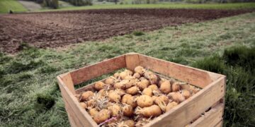 [spacing size="10"] [jnews_block_17 first_title="SYMBOLIKA ŚWIĄT WIELKANOCNYCH" header_text_color="#447f26" header_line_color="#f4f4f4" header_accent_color="#447f26" content_type="post" include_tag="7642" excerpt_length="0" excerpt_ellipsis="" pagination_mode="loadmore" pagination_number_post="6"]