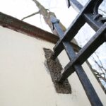 22.04.2021. Kielce. Ogrodzenie Parku Miejskiego / Wiktor Taszłow / Radio Kielce