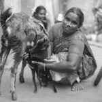 Indie / Magdalena Szczoczarz