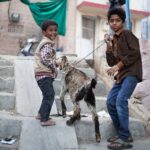 Indie / Photographer: Grzegorz Mehring / Magdalena Szczoczarz