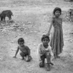 Indie / Magdalena Szczoczarz