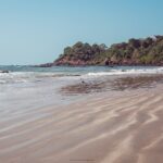 Indie / Magdalena Szczoczarz