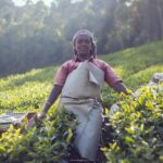 Indie / Magdalena Szczoczarz