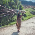 Indie / Magdalena Szczoczarz