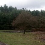 18.04.2021 Droga Brzeście - Kluczewsko. Miejsce przeprowadzenia akcji / Dionizy Krawczyński / archiwum własne