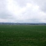 18.04.2021 Droga Brzeście - Kluczewsko. Miejsce przeprowadzenia akcji / Dionizy Krawczyński / archiwum własne