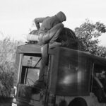 Indie / Magdalena Szczoczarz