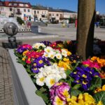 02.04.2021 Ostrowiec Świętokrzyski. Pierwsze wiosenne nasadzenia / Emilia Sitarska / Radio Kielce