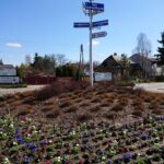 02.04.2021 Ostrowiec Świętokrzyski. Pierwsze wiosenne nasadzenia / Emilia Sitarska / Radio Kielce