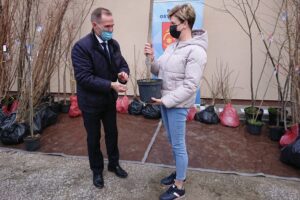 27.04.2021. Ostrowiec Świętokrzyski. Wręczenie drzewek miododajnych / Emilia Sitarska / Radio Kielce