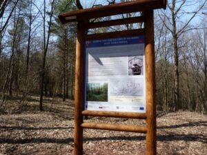 25.04.2021 Piekoszów. Budowa ścieżek dydaktycznych na terenie rezerwatów Moczydło i Chelosiowa Jama w gminie Piekoszów / www.piekoszow.pl