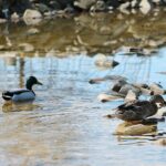 02.04.2021. Kielce. Ogród botaniczny / Wiktor Taszłow / Radio Kielce