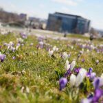 02.04.2021. Kielce. Ogród botaniczny / Wiktor Taszłow / Radio Kielce