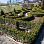 02.04.2021. Kielce. Ogród botaniczny / Wiktor Taszłow / Radio Kielce