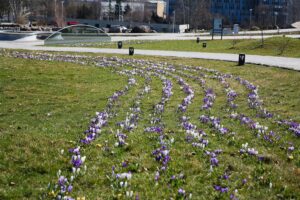 02.04.2021. Kielce. Ogród botaniczny / Wiktor Taszłow / Radio Kielce