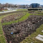 02.04.2021. Kielce. Ogród botaniczny / Wiktor Taszłow / Radio Kielce