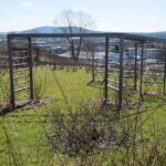 02.04.2021. Kielce. Ogród botaniczny / Wiktor Taszłow / Radio Kielce