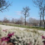 02.04.2021. Kielce. Ogród botaniczny / Wiktor Taszłow / Radio Kielce